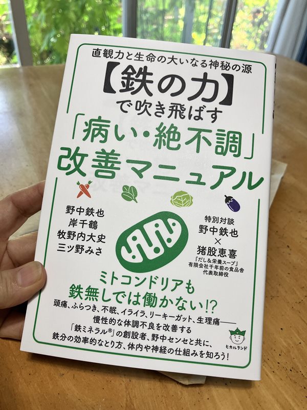 書籍『鉄の力で吹き飛ばす「病・絶不調」改善マニュアル』